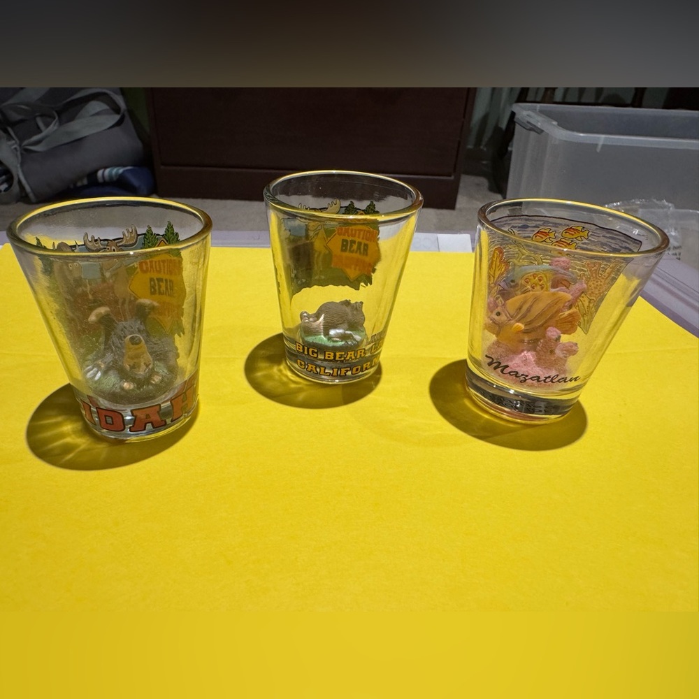 Set of 3 Shot Glasses- 3-D designs on the inside!